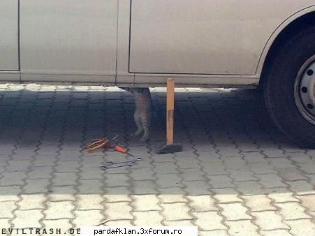 tuning auto bah imi iau mecanicu asta masina mea Administrator