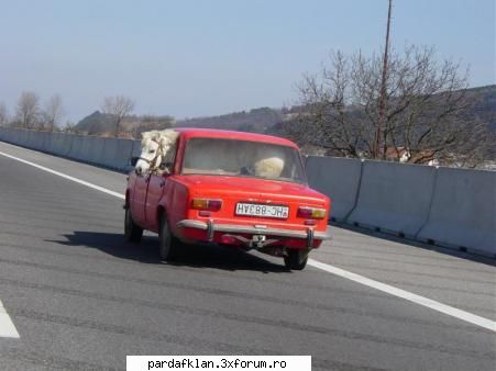 si uitatzi un ferrariii tuning auto