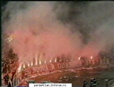 dinamo steaua macar are coregrafie [cateodata ]dinamo grufter