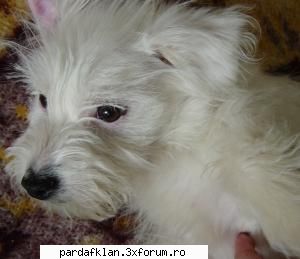 cele mai dulci animalutze si.. poate indoia cienva frumusetea Moderatoare