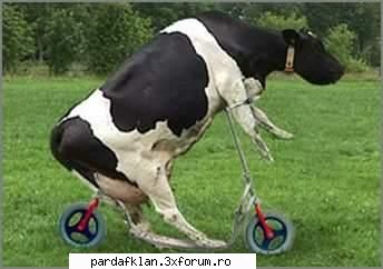 forum kkt :pp baaa bashitule dece zici kkat? zone infectu'