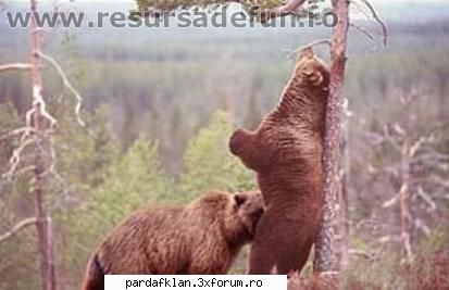 sau asa ceva :::
asta pde asta nu sunt stresati daca tot se discuta pe tema stresului