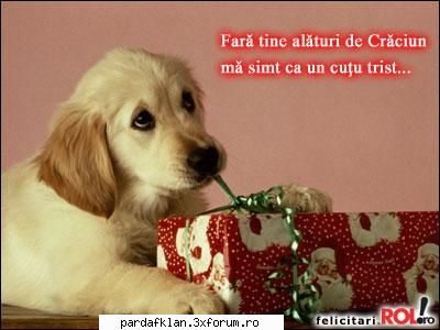 la multi ani si pt ca ai facut 15 ani ai de la mine 15 semne de exclamare unu pt fiecare an la anu o