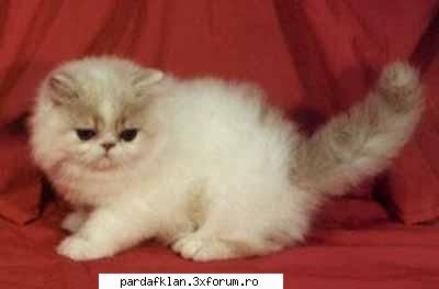 probabil snt ultimu care ii zice la multi ani lu` bi da...... heck nam fo` atent la forum si nam